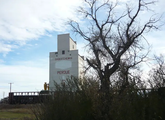 Perdue grain elevator behind a bare tree